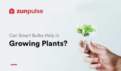 hand holding out a plant